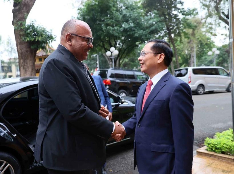 Le vice-Premier ministre et ministre des Affaires étrangères, Bui Thanh Son, et Mahmoud Thabit Kombo, ministre des Affaires étrangères et de la Coopération est-africaine de Tanzanie. Photo : VNA.