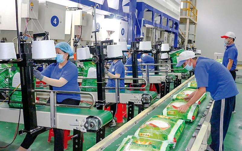 Dans l'usine de riz de la société par actions d'agriculture high-tech Trung An à Can Tho. Photo : NDEL.