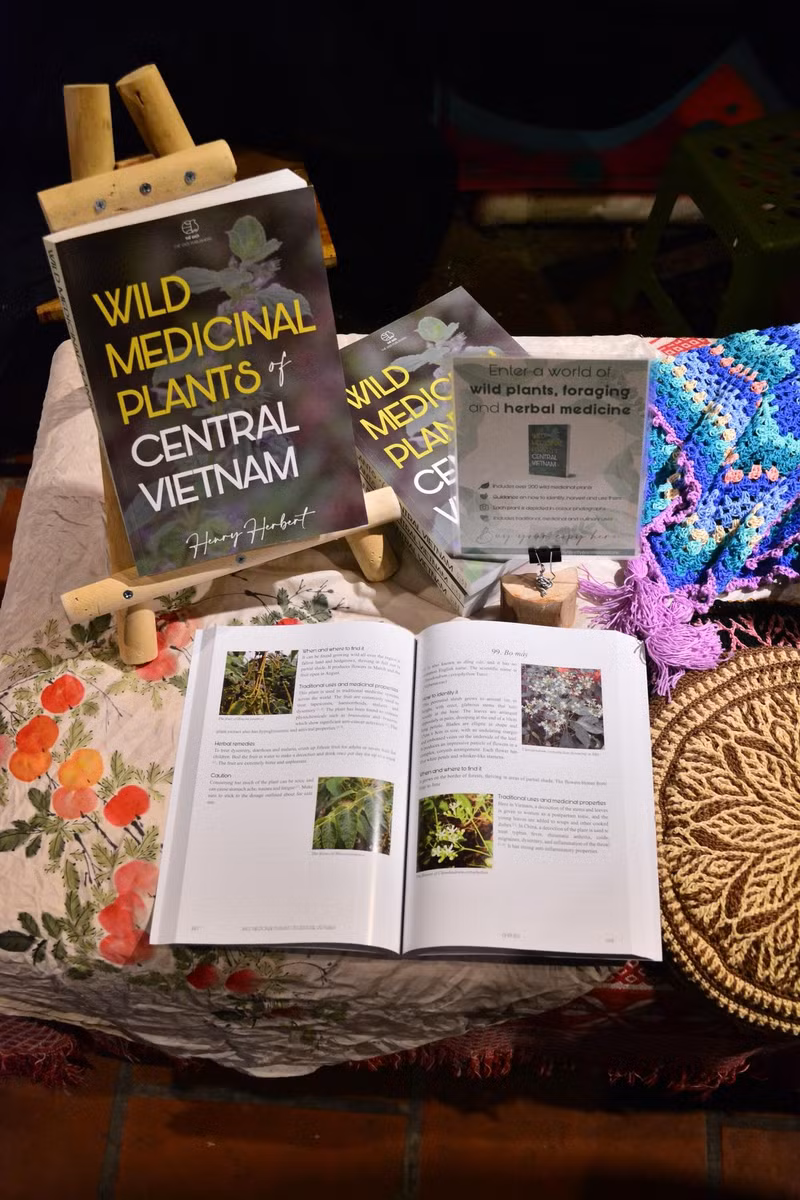 Le livre «Les plantes médicinales sauvages du Centre du Vietnam». Photo : NDEL.