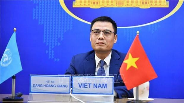 L’ambassadeur Dang Hoang Giang, chef de la Mission du Vietnam auprès des Nations Unies. Photo: VNA