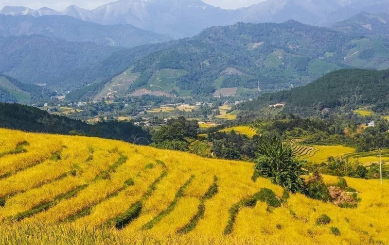 Rizières en terrasses à Bình Liêu. Photo : https://petrotimes.vn/