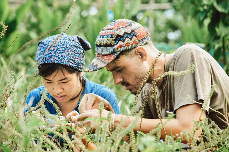 Henry Herbert et sa femme. Photo : phunuonline.com.vn. Henry Herbert et sa femme. Photo : phunuonline.com.vn.