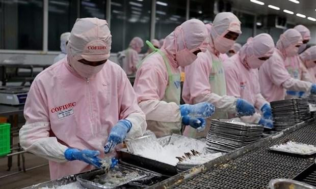 Tranformation de crevettes pour l'exportation. Photo : VNA.
