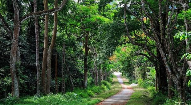 Parc national de Cuc Phuong, à Ninh Binh. Photo: ninhbinh.gov.vn