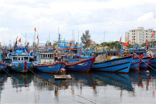 Des bateaux en refuge. Photo: VNA