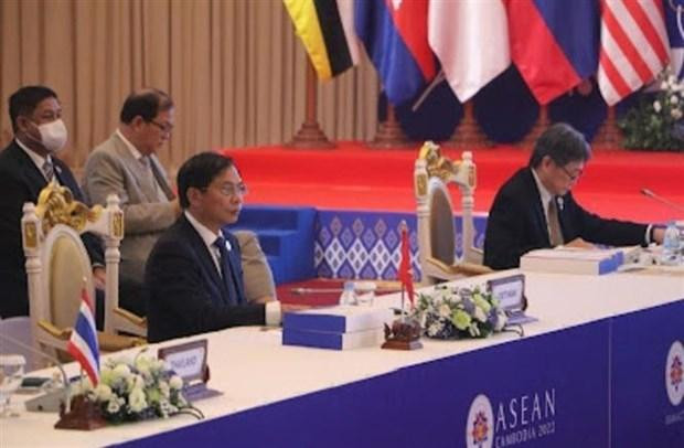Le ministre vietnamien des Affaires étrangères, Bùi Thanh Son. Photo : VNA.