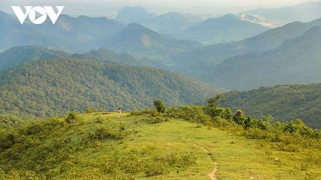 Située à environ 40 km à l'ouest de la ville d'Halong, la réserve naturelle de Dông Son Ky Thuong s’étend sur plus de 15 000 ha et couvre cinq communes.