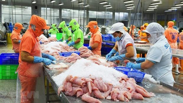 Dans une usine de transformation des produits aquatiques. Photo : VNA