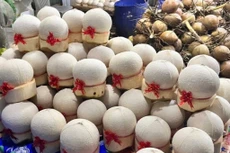 La stratégie provinciale repose sur l'attraction des investissements pour une transformation profonde.