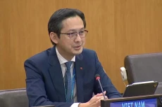 Le Vietnam salue le rôle du PNUD dans la coopération pour le développement durable