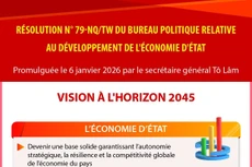 Résolution n° 79-NQ/TW du Bureau politique relative au développement de l'économie d'État