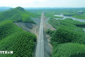 L’un des piliers essentiels permettant au Vietnam d’atteindre son objectif de neutralité carbone d’ici 2050 réside dans les importants puits de carbone que constituent ses forêts, ses mers et ses écosystèmes naturels. Photo : VNA
