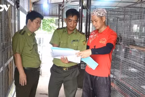 Des gardes forestiers inspectent et conseillent Hoang Van Khanh, de la commune de Kha Son, afin qu'il se conforme à la réglementation sur l'élevage et la reproduction des animaux sauvages. Photo: VOV