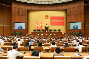 Vue d’ensemble de la conférence nationale consacrée à l’étude et à la mise en œuvre de la Résolution n°06-NQ/TW du Bureau politique relative à l’application de la ligne diplomatique définie lors du 14e Congrès national du Parti. Photo : DUY LINH