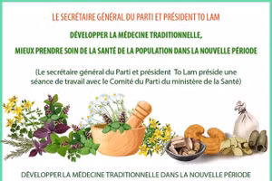 Développer la médecine traditionnelle, mieux prendre soin de la santé de la population