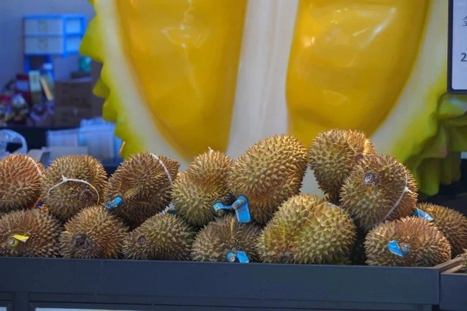 Le Vietnam exporte pour la première fois des durians surgelés vers la Chine