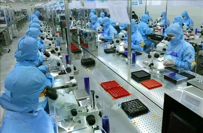 Ligne de production de modules de caméra et de composants électroniques destinés à l'exportation dans l'usine MCNEX VINA Co., Ltd., société à participation sud-coréenne, située dans le parc industriel de Phuc Son, province de Ninh Binh. Photo : VNA