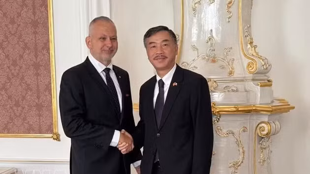 L’ambassadeur du Vietnam en République tchèque Duonng Hoai Nam (droite) et le président du Groupe d’amitié interparlementaire de la République tchèque, Tomas Helebrant. Photo : VNA.