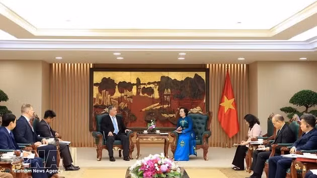 Panorama de la rencontre entre la vice-Première ministre Pham Thi Thanh Tra, et une délégation de l’Université Texas Tech conduite par le Dr Stephen Maxner, directeur du VNCA. Photo : VNA.