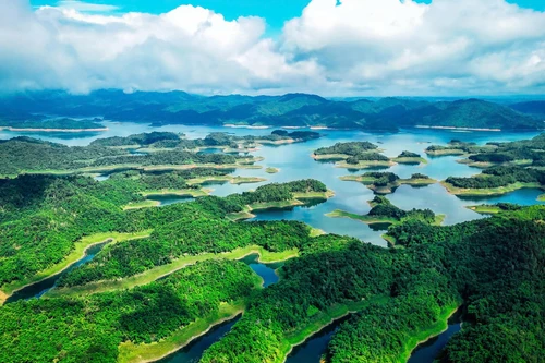  Le parc de Ta Dung compte de nombreuses îles de tailles diverses, souvent comparées à une « baie d’Hạ Long » au cœur des hauts plateaux du Tay Nguyen. Photo: plo.vn