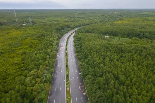 La route de Rung Sac traverse la forêt de Can Gio, septembre 2025. Photo : vnexpress.net