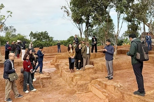 Zone de fouilles sur le site de la pagode Hoanh Mo, commune de Lang Giang, province de Bac Ninh. Photo : nhandan.vn