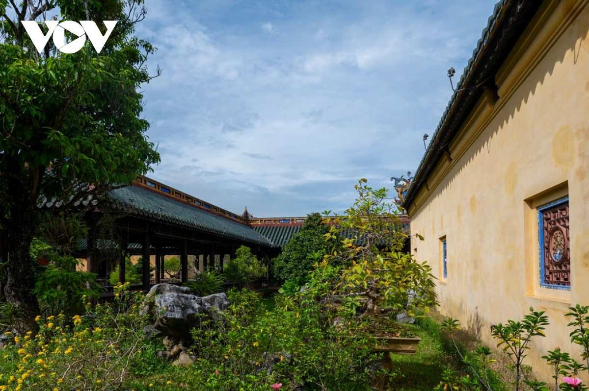 Dès l’époque féodale, Thieu Phuong était considéré comme un « trésor vert » de la Cité impériale de Hue. Les empereurs Nguyen consacraient beaucoup d’efforts à la collecte de plantes ornementales rares, tant du pays qu’à l’étranger. Photo : VOV. 4.png