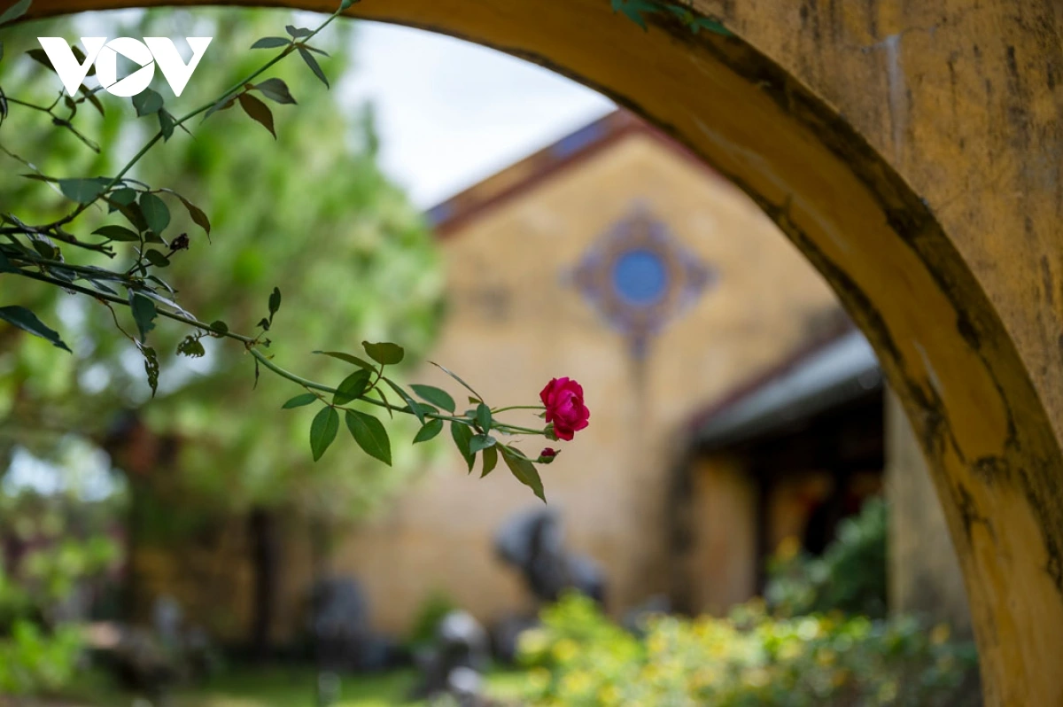 En se promenant dans le jardin, les visiteurs ont l’impression de se perdre dans un autre monde : le chant des oiseaux, le parfum léger des fleurs, l’ombre des arbres s’étendant sur les murs couverts de mousse composent un paysage à la fois ancien et paisible. Photo : VOV. 7.png