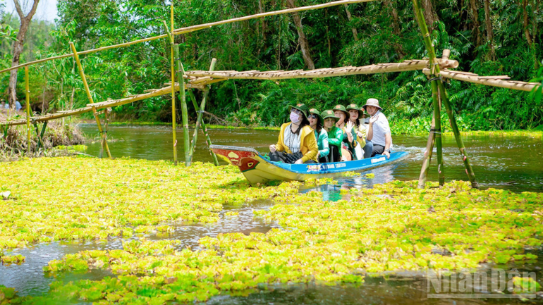 Des touristes visitent et découvrent les zones écologiques du site. Photo : NDEL. thiet-ke-chua-co-ten-2.png