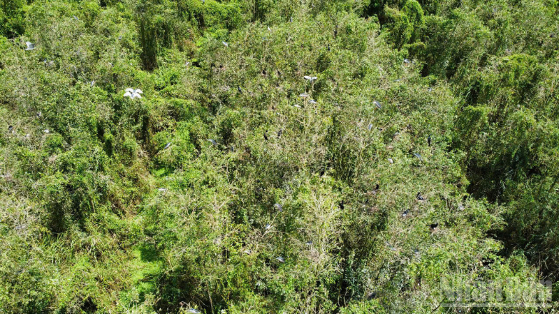 Vue d’en haut, la zone écotouristique Mua Xuan dévoile un vaste espace verdoyant et encore à l’état sauvage. Photo : NDEL. thiet-ke-chua-co-ten.png