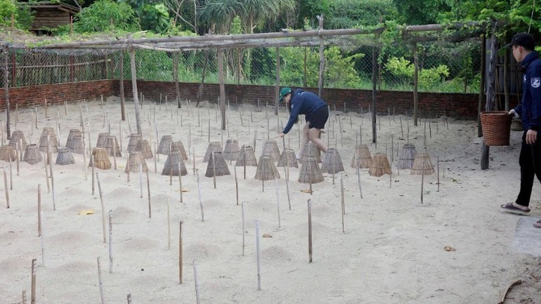 Des bénévoles inspectent et surveillent la zone d’incubation des œufs de tortues au Parc national de Con Dao. Photo : Khieu Minh. image-12.jpg