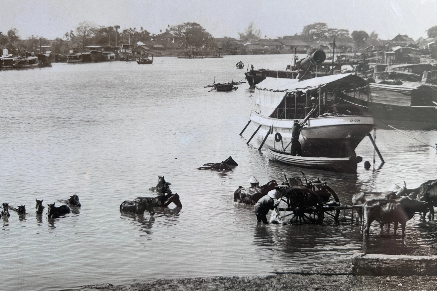 Des habitants lavent leurs chevaux et rincent leurs pousse-pousse dans le fleuve. Photo : VnExpress. 8.png