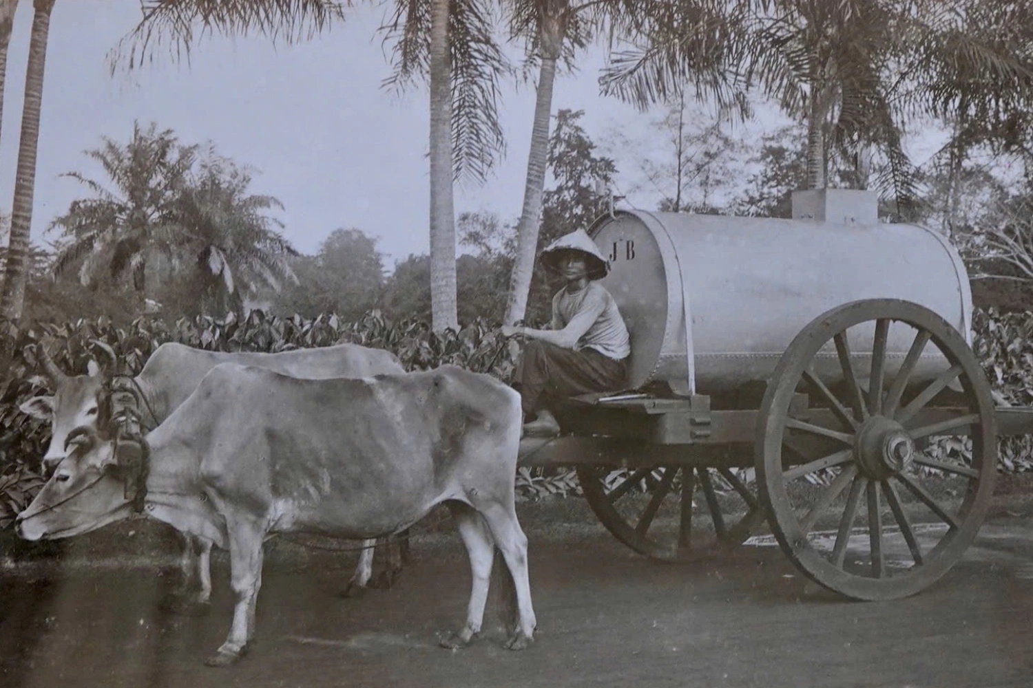 Le Jardin botanique en 1909. Photo : VnExpress. 3.png