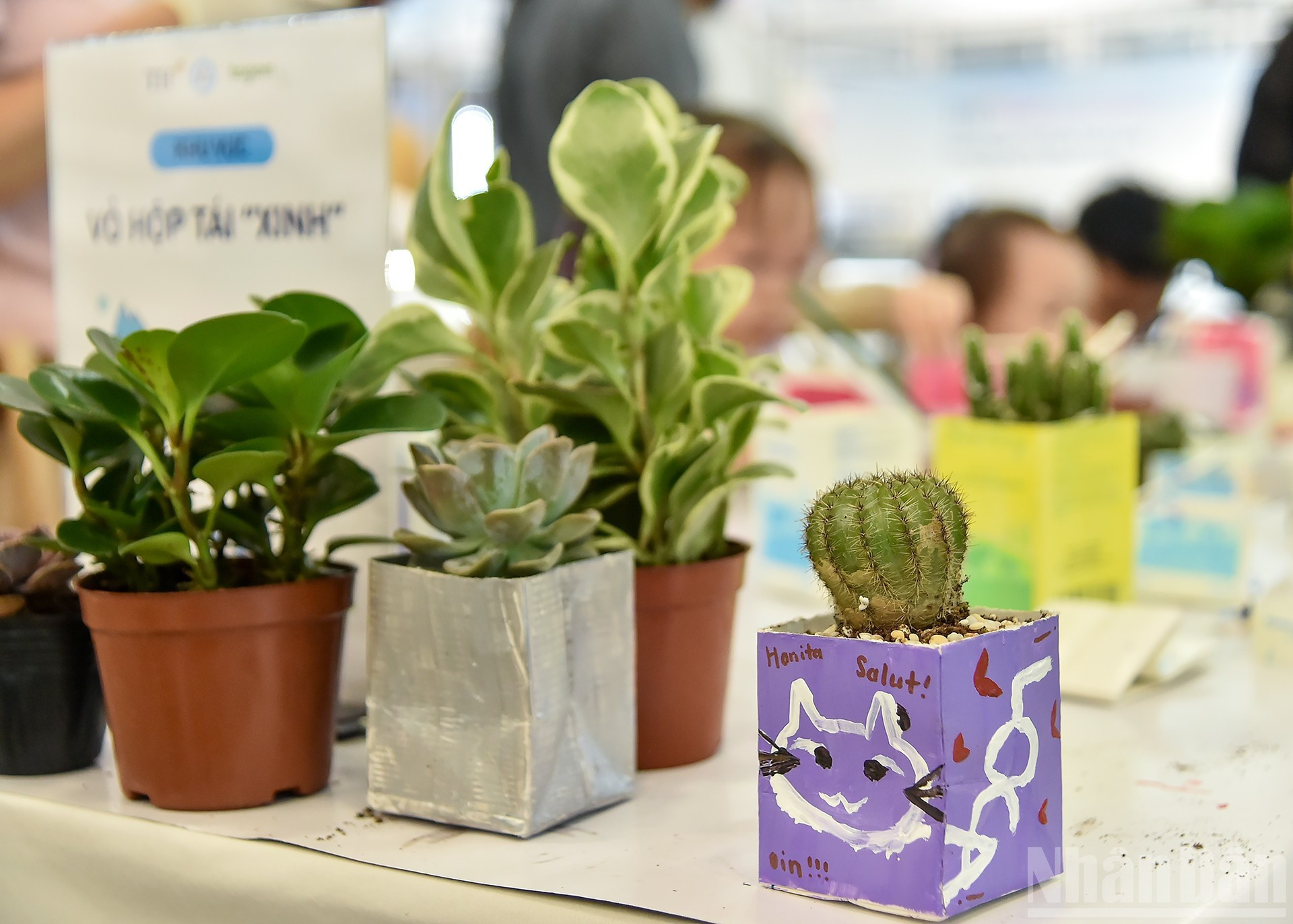 Tout commence à la maison : trier ses déchets, économiser l’eau, planter un arbre, autant de petits gestes qui, ensemble, créent une grande force collective. 14.jpg