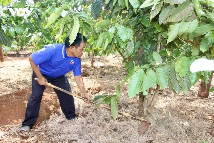 giu-binh-yen-buon-lang-tu-cuoc-chien-trong-long-dan-anh-daujpeg.jpg