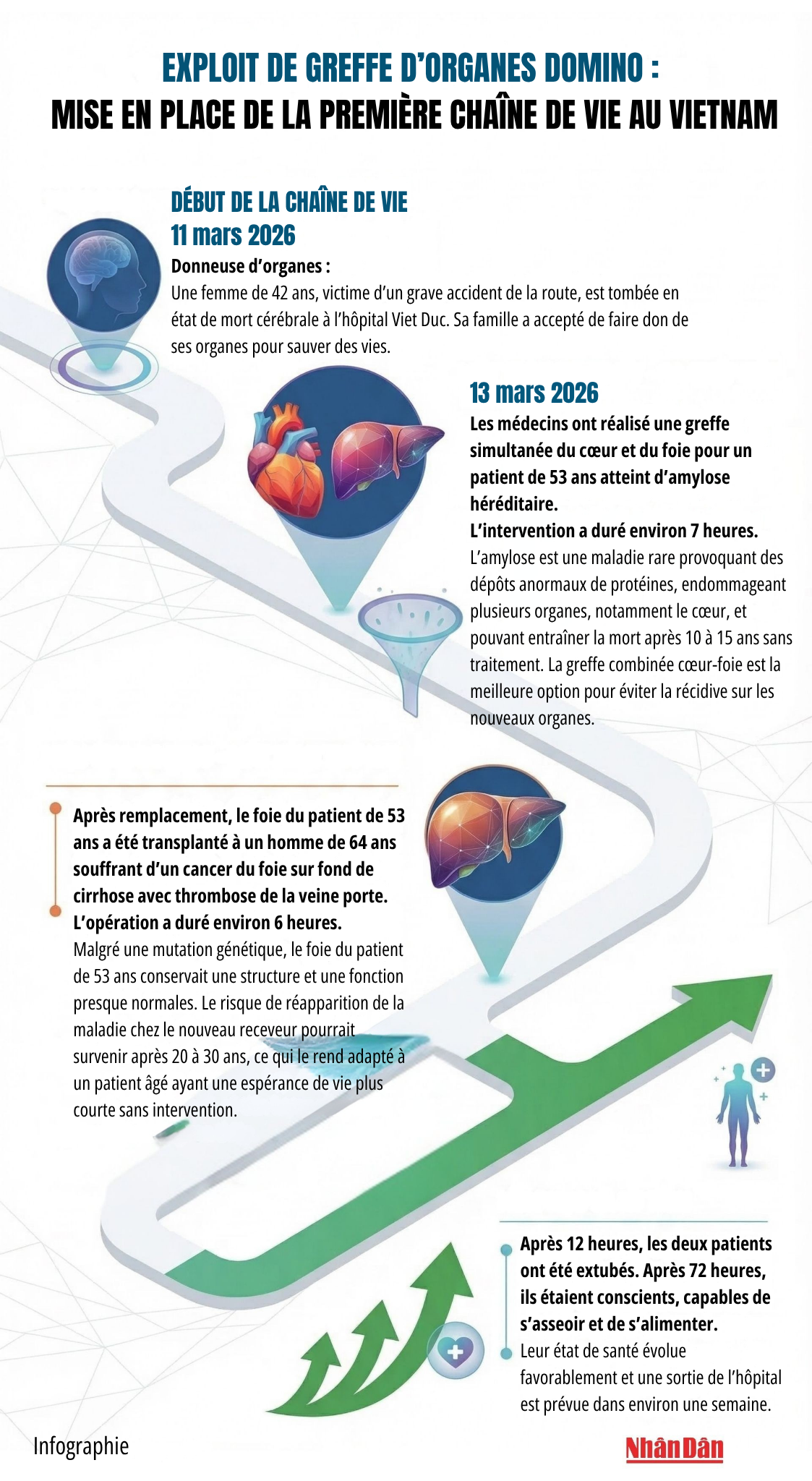 exploit-de-greffe-dorganes-en-domino-mise-en-place-de-la-premiere-chaine-de-vie-au-vietnam.png