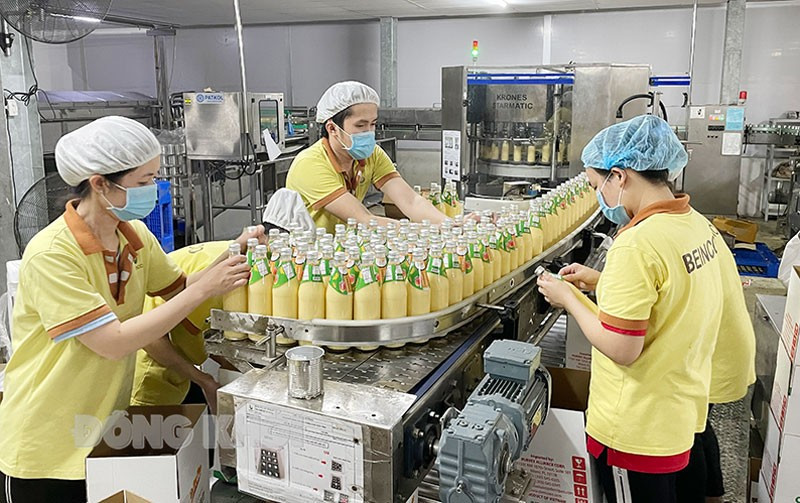 Activité de production à la Société par actions d’investissement du coco de Ben Tre (Beinco). Photo : Beinco. che-bien-dua.jpg