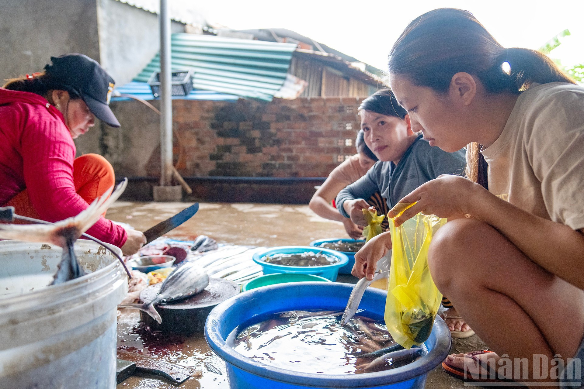 Le marché de Ninh Van, où les habitants exposent les produits de la mer ramenés de leurs sorties en mer. Le marché ne se tient qu’au petit matin chaque jour. image-9.jpg