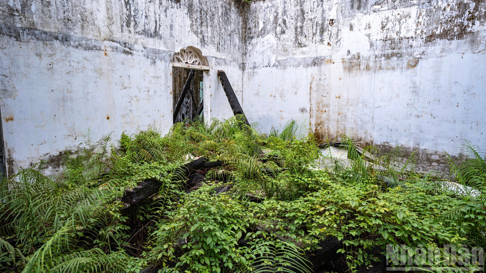 La végétation a envahi les lieux, dissimulant les colonnes calcinées qui subsistent encore. 5.jpg