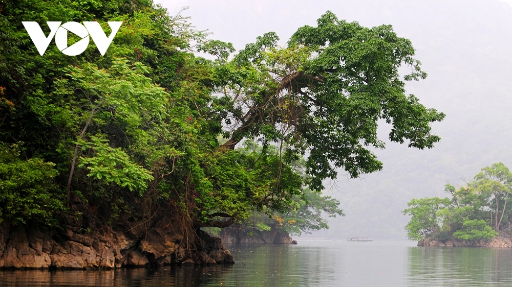 Matin voilé de brume sur le lac Ba Be. Photo : VOV. thac6.png