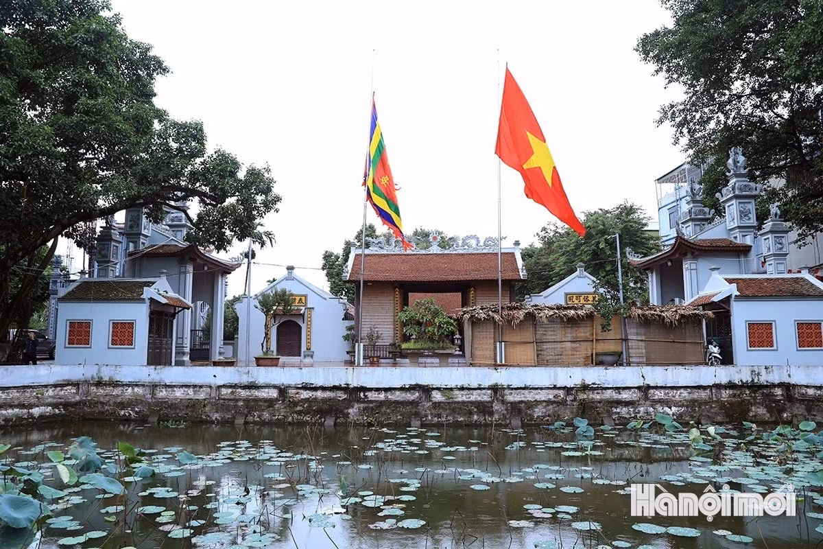 w-xoi-phu-thuong-1.jpg