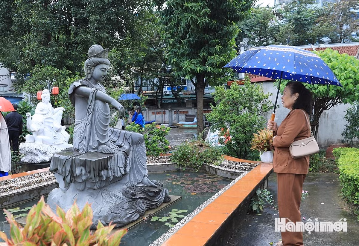 w-xoi-phu-thuong-61.jpg