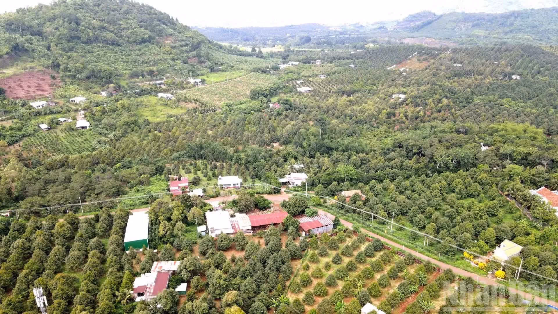 1-6398.jpg