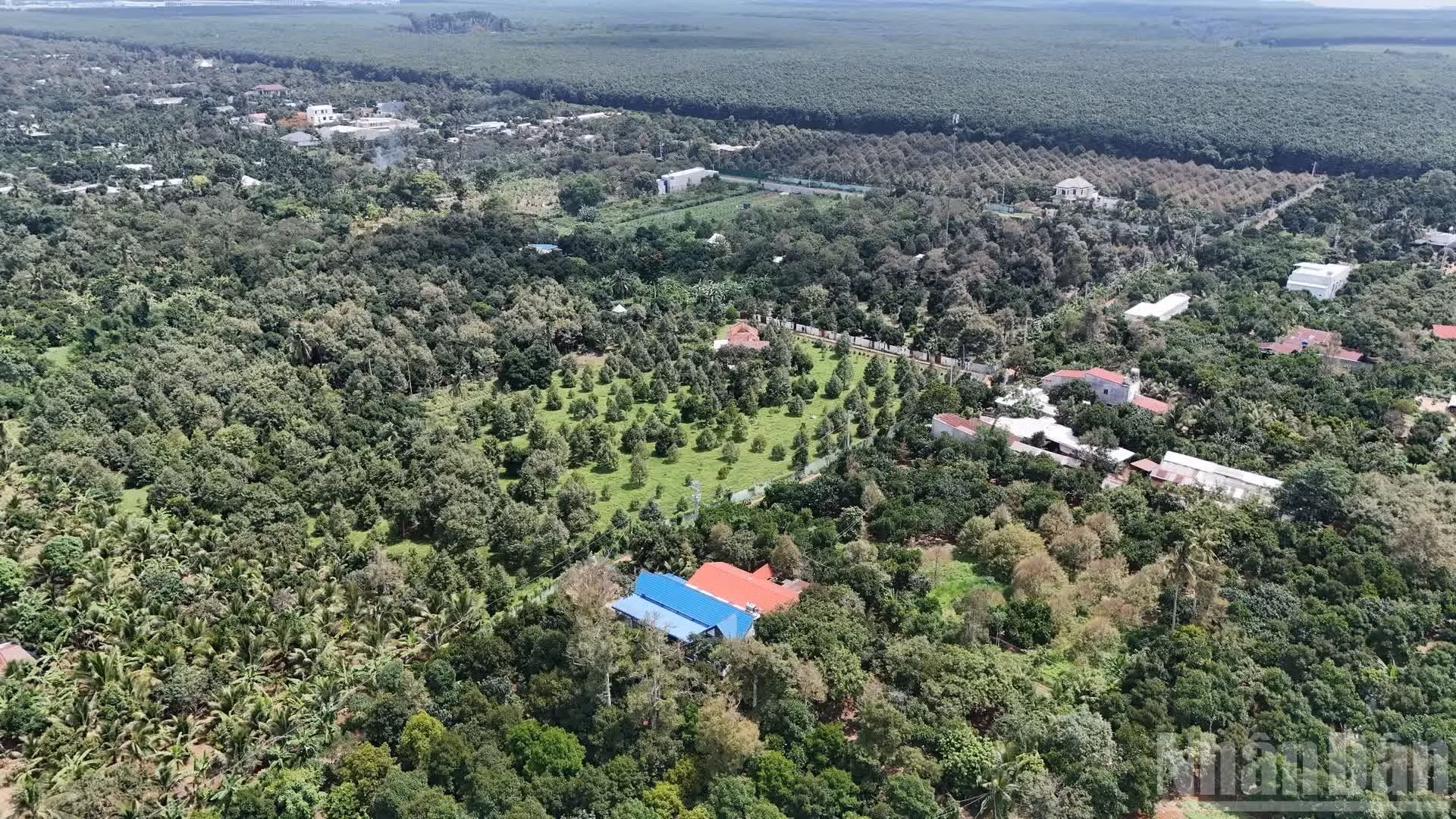 dji-20260605145259-0748-d-resize.jpg