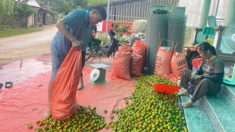 Des habitants de la commune de Dong Phuc échangent leurs produits avec des commerçants. Photo : Tung Van. image-33.jpg