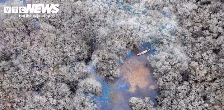 « En tant qu’enfant de Hoa Chau, je n’ai jamais manqué une seule saison où les arbres de la forêt de Ru Cha changent de feuillage. Ce qui me plaît le plus, c’est qu’aujourd’hui encore, Ru Cha continue de se développer tout en préservant son caractère sauvage… », confie Sy Nhat, habitant du quartier de Hoa Chau, dans la ville de Huê.