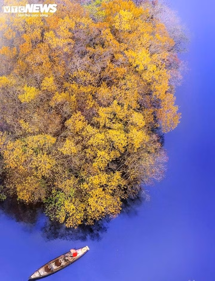 Avec son cadre sauvage teinté d’une touche de mystère, Ru Cha est souvent choisie par les jeunes touristes comme un lieu pour « fuir la ville et retrouver la forêt », se promener, prendre des photos et partager leurs clichés sur les réseaux sociaux. C’est aussi ce qui fait la singularité de Ru Cha, qui figure régulièrement parmi les 20 destinations touristiques les plus attrayantes de Huê.