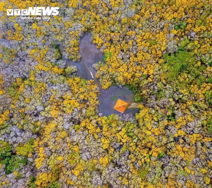 À la saison du changement de feuillage, les teintes jaunes éclatantes qui se reflètent dans les eaux limpides alternent avec les arbres qui perdent leurs feuilles, enveloppés dans la brume matinale, créant un paysage d’une beauté singulière.