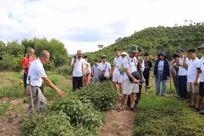 Faire découvrir des produits agricoles biologiques à des touristes.