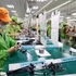 Ligne de production de faisceaux de câbles électriques chez la société Bandai Vietnam, implantée dans la zone industrielle Bo Trai, quartier de Hoa Binh, province de Phu Tho. Photo : VNA.